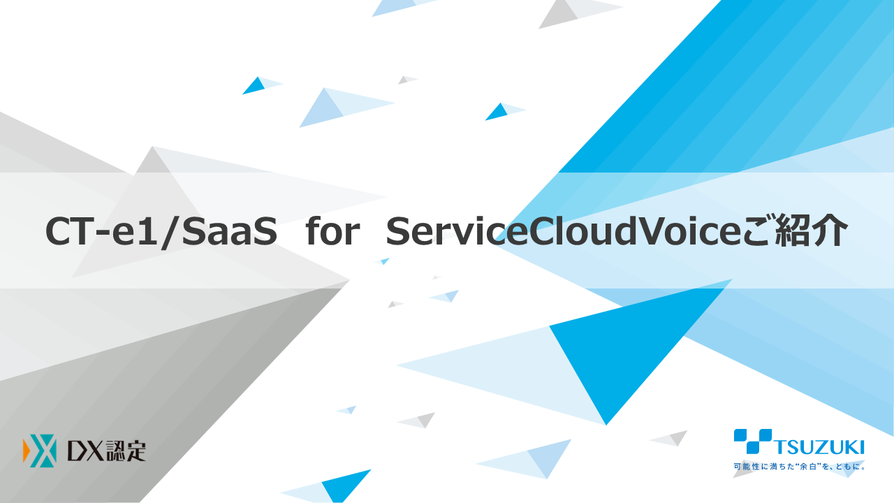 TCT-e1/SaaS for Service Cloud Voiceご紹介資料