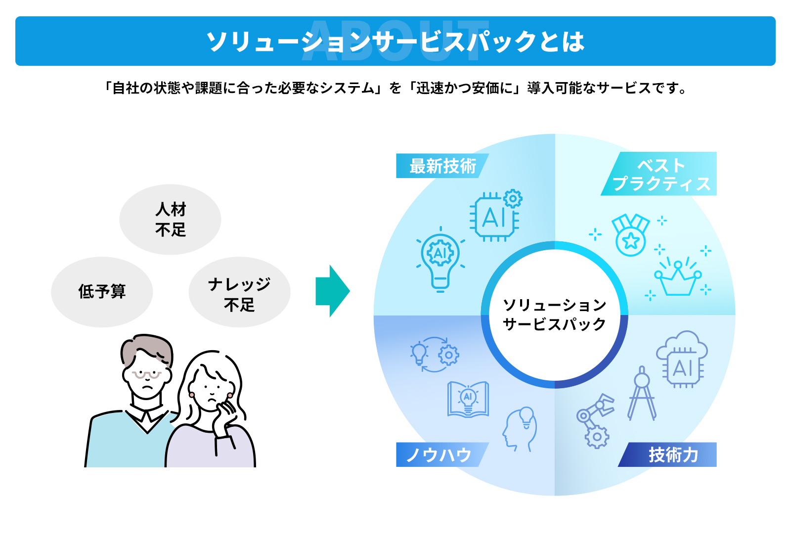 ソリューションサービスパックとは